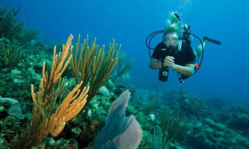 Paket-Wisata-Snorkeling-di-Bintan.jpg
