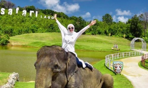 Safari-Lagoi-Bintan.jpg